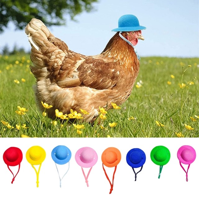 Chicken Hats for Hens Funny for Head Accessories Top Hat with