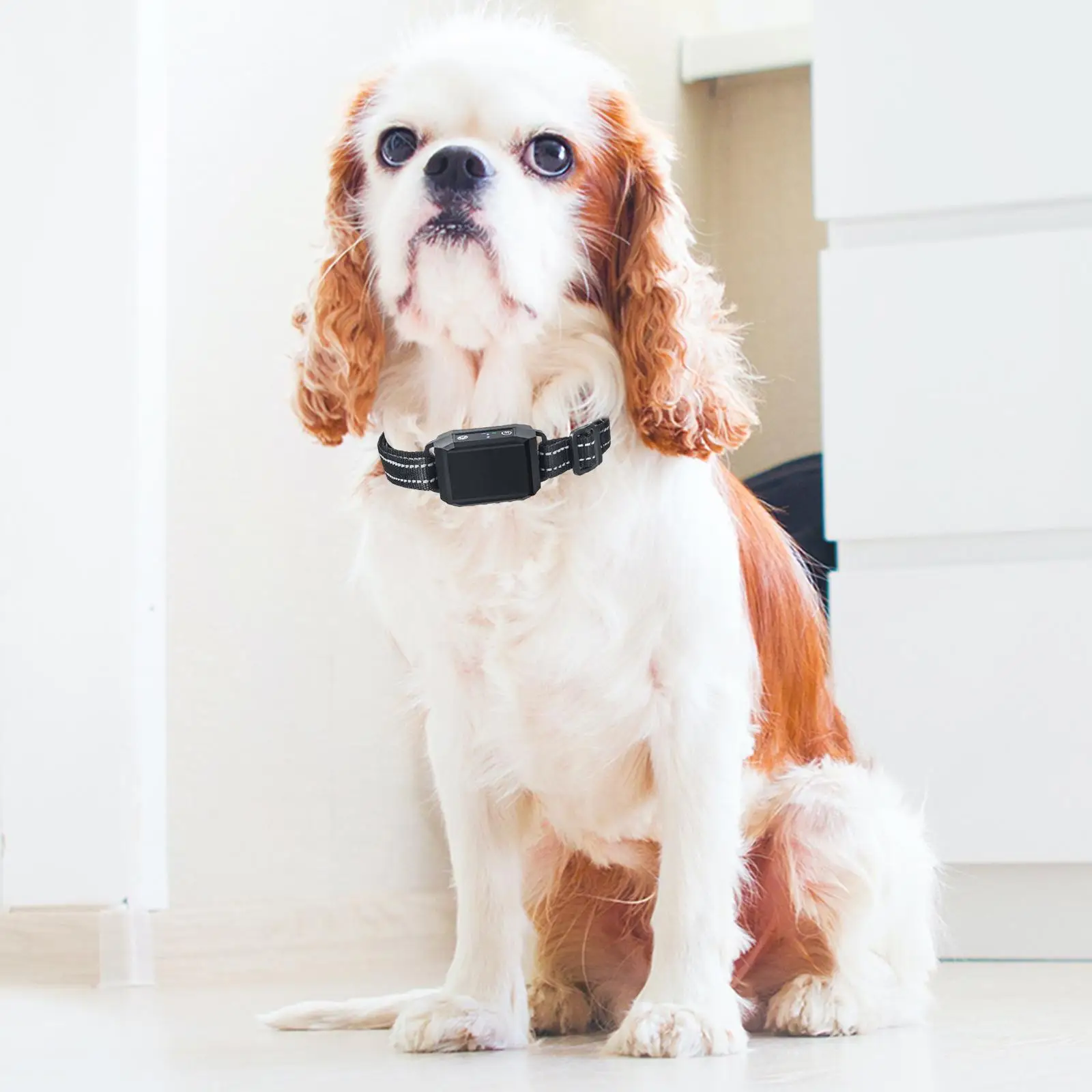 Electric Dog Anti Bark Collar Stop Barking Dog Trainer shock Vibration Adjustable Strap for Dog Dog Training Small Medium