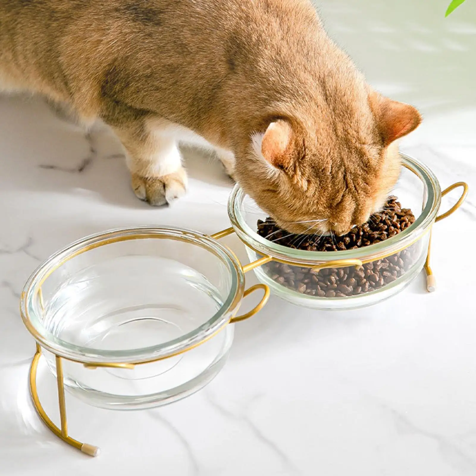 Double Glass Raised Cat Bowls Non- Bottom Water Feeder with Heighten Stand for Small Dog