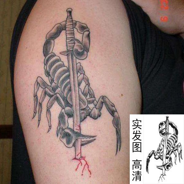 Skorpion-Tattoos für Frau, Mann, Goth, temporäre Tattoos, Punk-Hals-Arm-Tattoos, wasserdichte Tattoo-Aufkleber, Kunst, gefälschte Tattoo-Geschenke – Detail 8