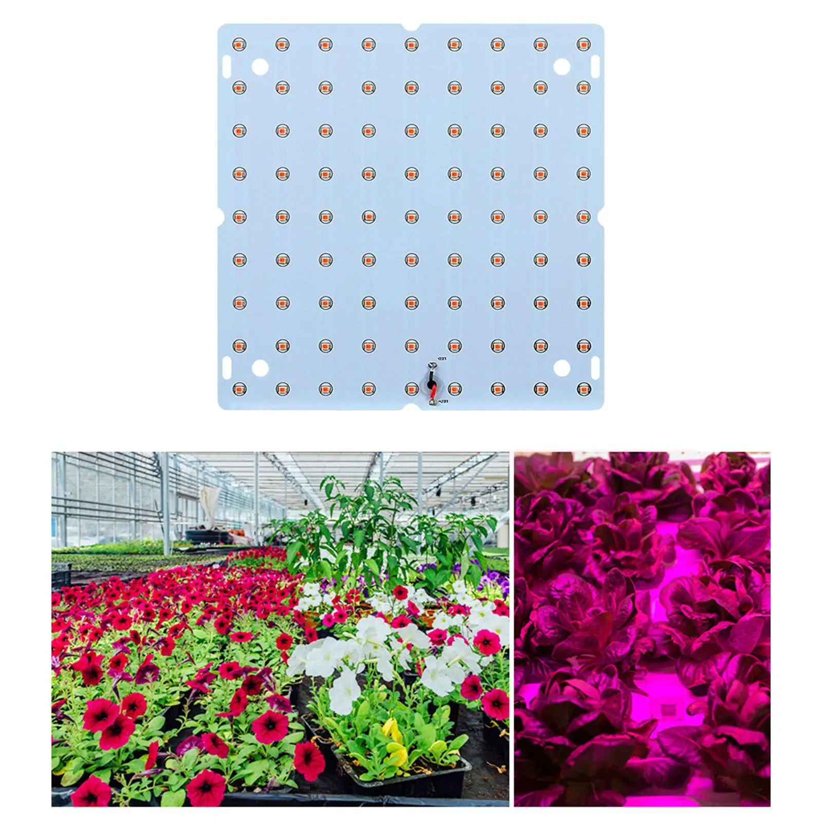 Aluminum Alloy Plant Grow Light Full Grow Light for Vegetable Bloom Hydroponics Greenhouse