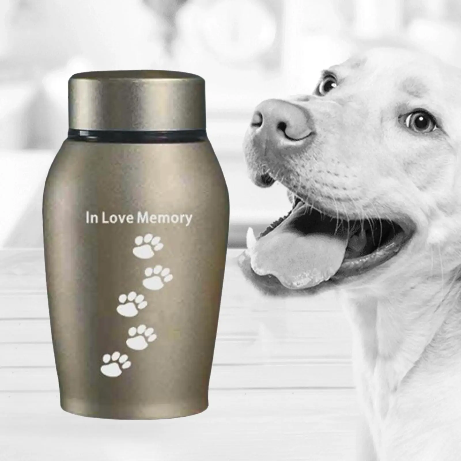 Stainless Steel Pet Urns Small Animal Remembrance Cremation Memorial Urn