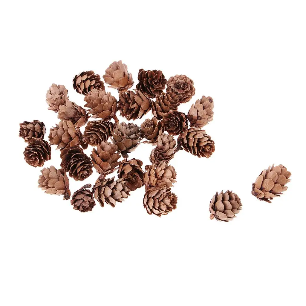 30pcs Small Dried Pine Cones Accents Home Decoration Ornaments