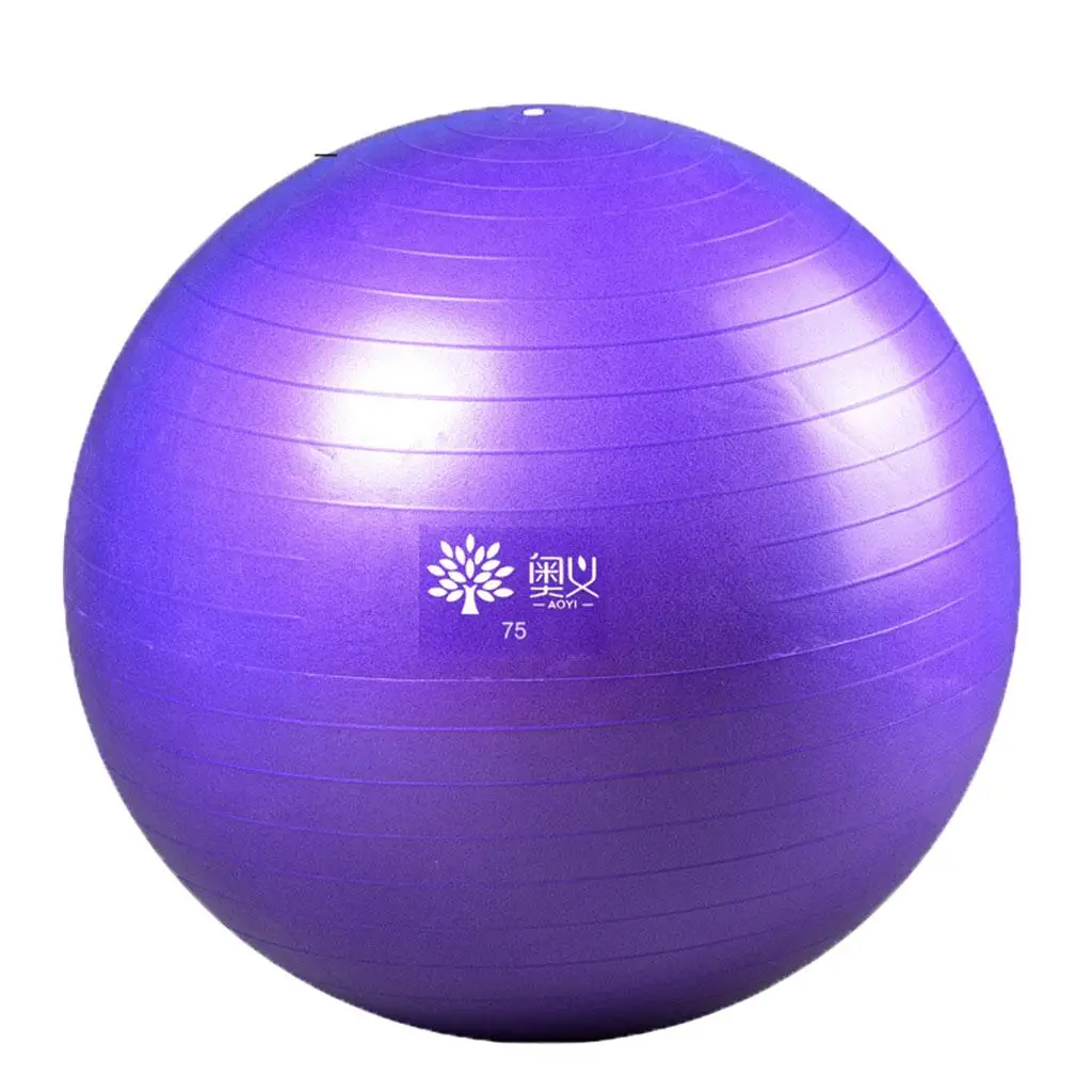 Heavy Duty Yoga Ball Exercise  Workout Stability for Pilates  Birthing