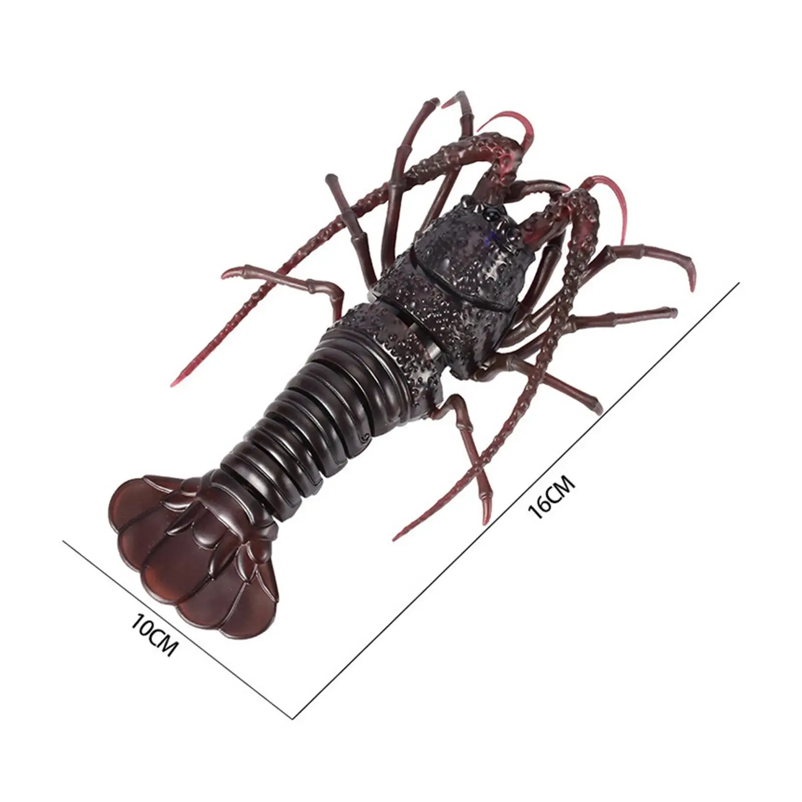 Simulation RC Crawfish Realistic Remote Control Vehicle Car Animal Pet Model Electric Infrared RC Shrimp for Kids Girls Boys