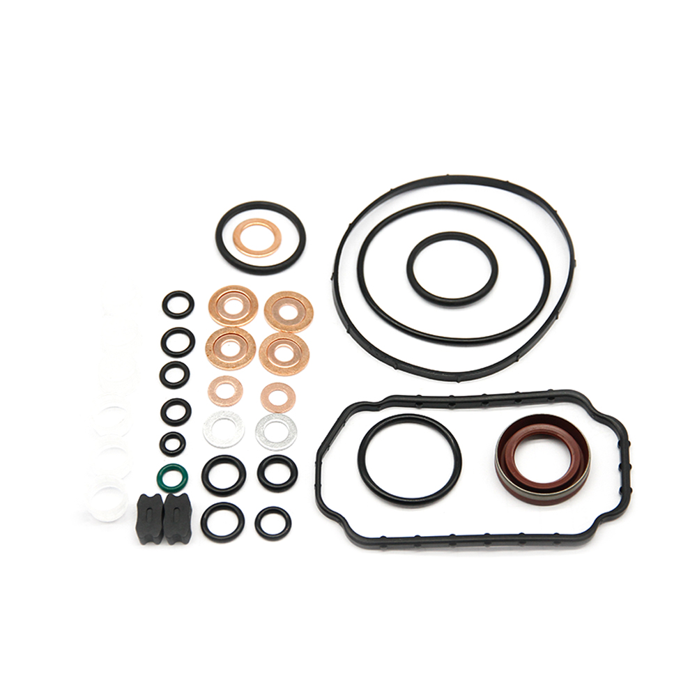 10 Beutel 1467010059 für Reparatursätze für Dieselkraftstoffpumpen – Detail 1