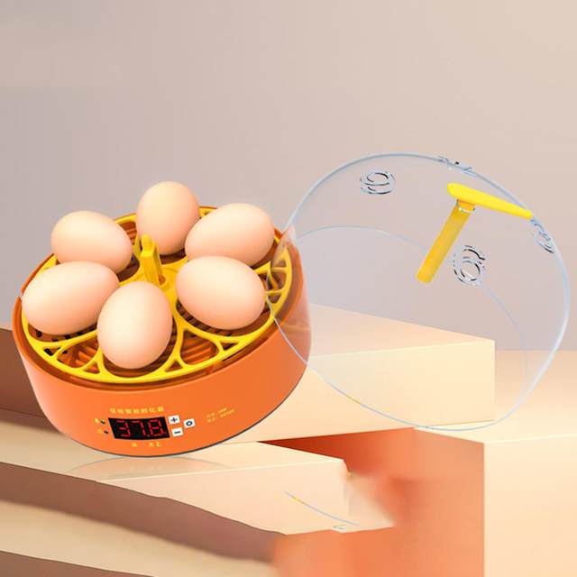 6 Digital Eggs Incubator Temperature Controller Hatching Machine Experimental for Parrot Bird Egg Duck Bird Pigeon Quail