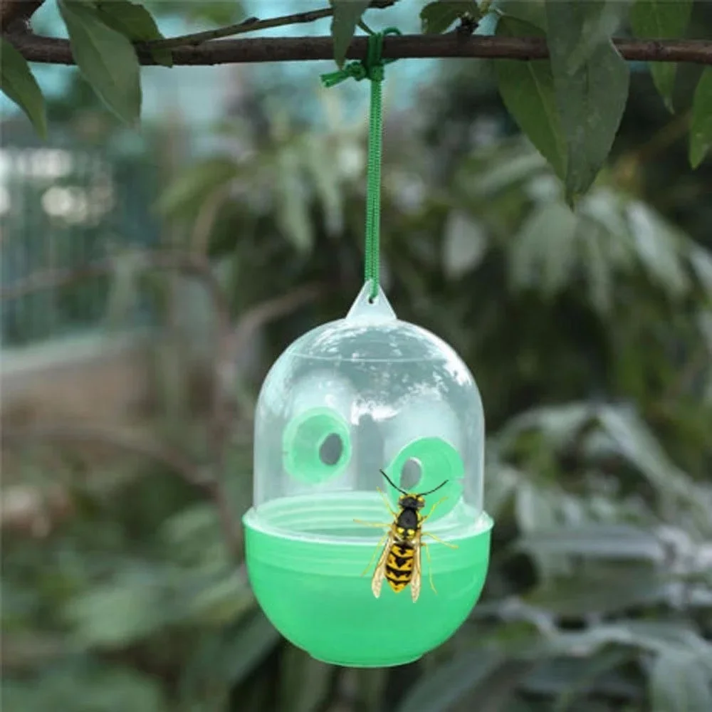 Description Picture 5 of itemFly Trap Reusable Wasp Hanging Fly Trap Catcher Beekeeping Catcher Cage Equipment Tool for Wasps Bees Hornet Pest Control Garden