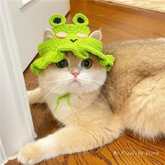 Chapéu bonito para gato desenho dos desenhos animados vestir-se traje  animal de estimação boné manter quente headwear cosplay acessórios para  gatos cães pequenos y5gb - AliExpress