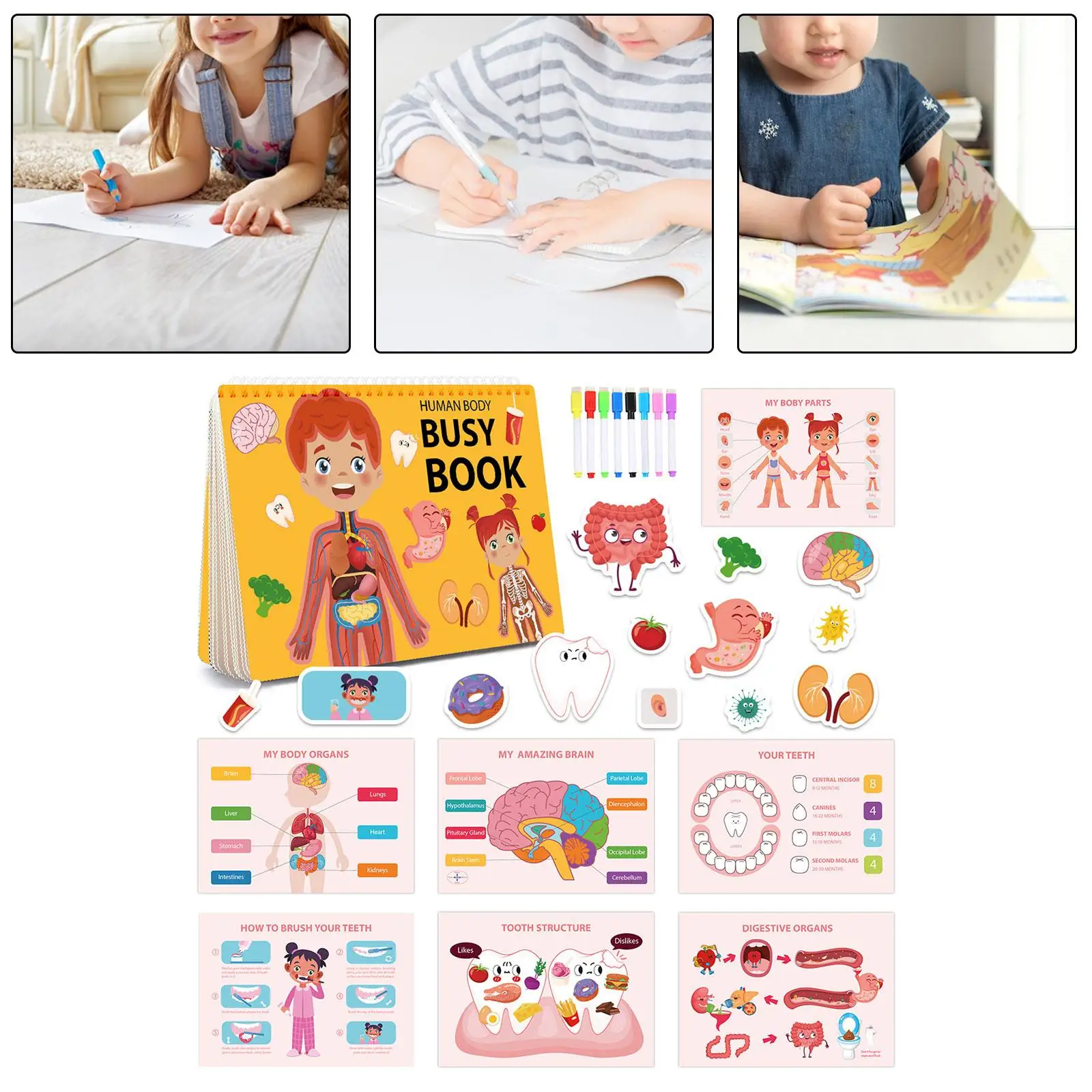 Human Body Book Kindergarten Early Educational Cognitive Skills Human Organs