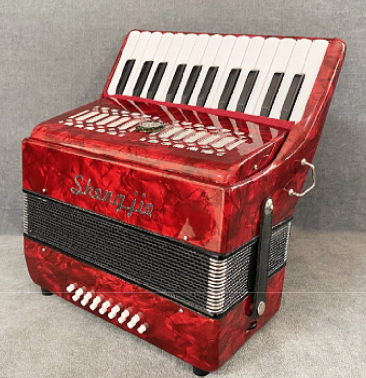 Title 7, Accordion 16 Bass 25 Keys Professional Keyboard...