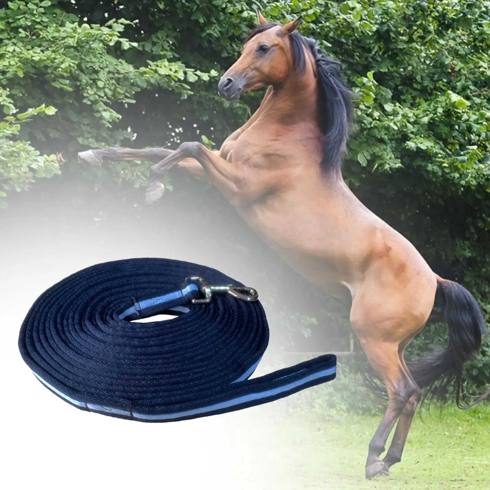 Dog Training Leash Traction Rope 8 Meters Backyard Playing Horse Lead Rope