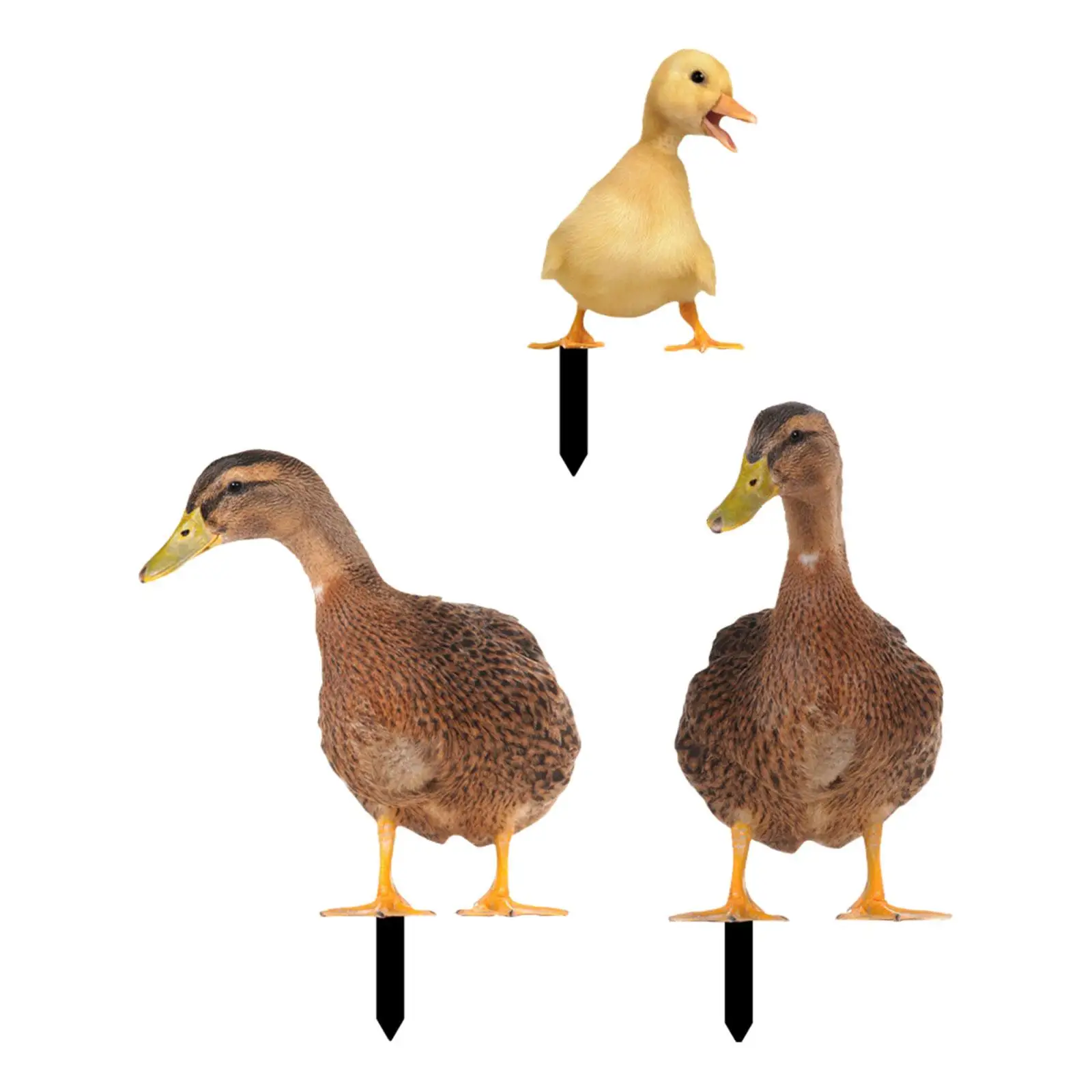 3x Acrylic Duck Statue Stakes Decorative Realistic Animals Figurines Stakes for Swimming Pool Front Porch Backyard Courtyard