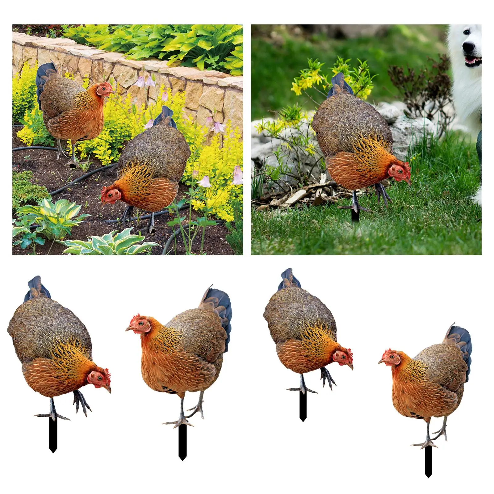 Realistic Chicken Sculpture Rooster Hen Yard Stake for Farm Backyard Patio