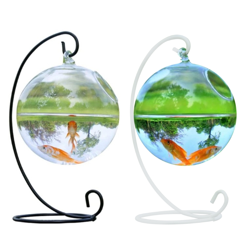 Title 3, Fish Bowl,Transparent Spherical Glass Handmade ...