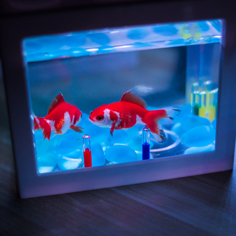 Title 2, Mini Aquarium Aquarium lampe contrôle couleur c...