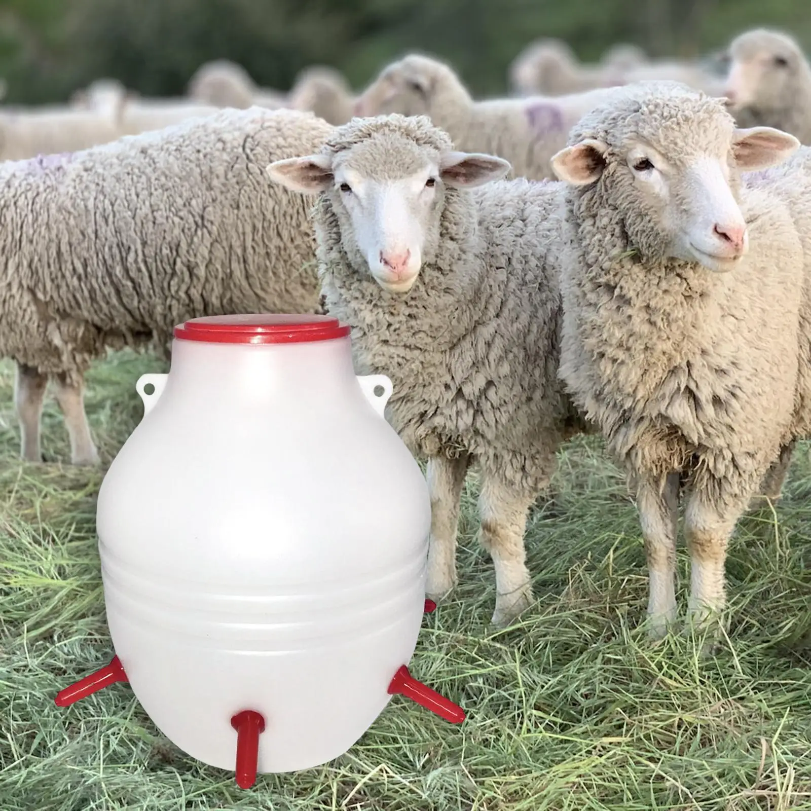 Lamb Feeder Bucket with 6 Nipples 8L Accessories for Piglets for Outdoor