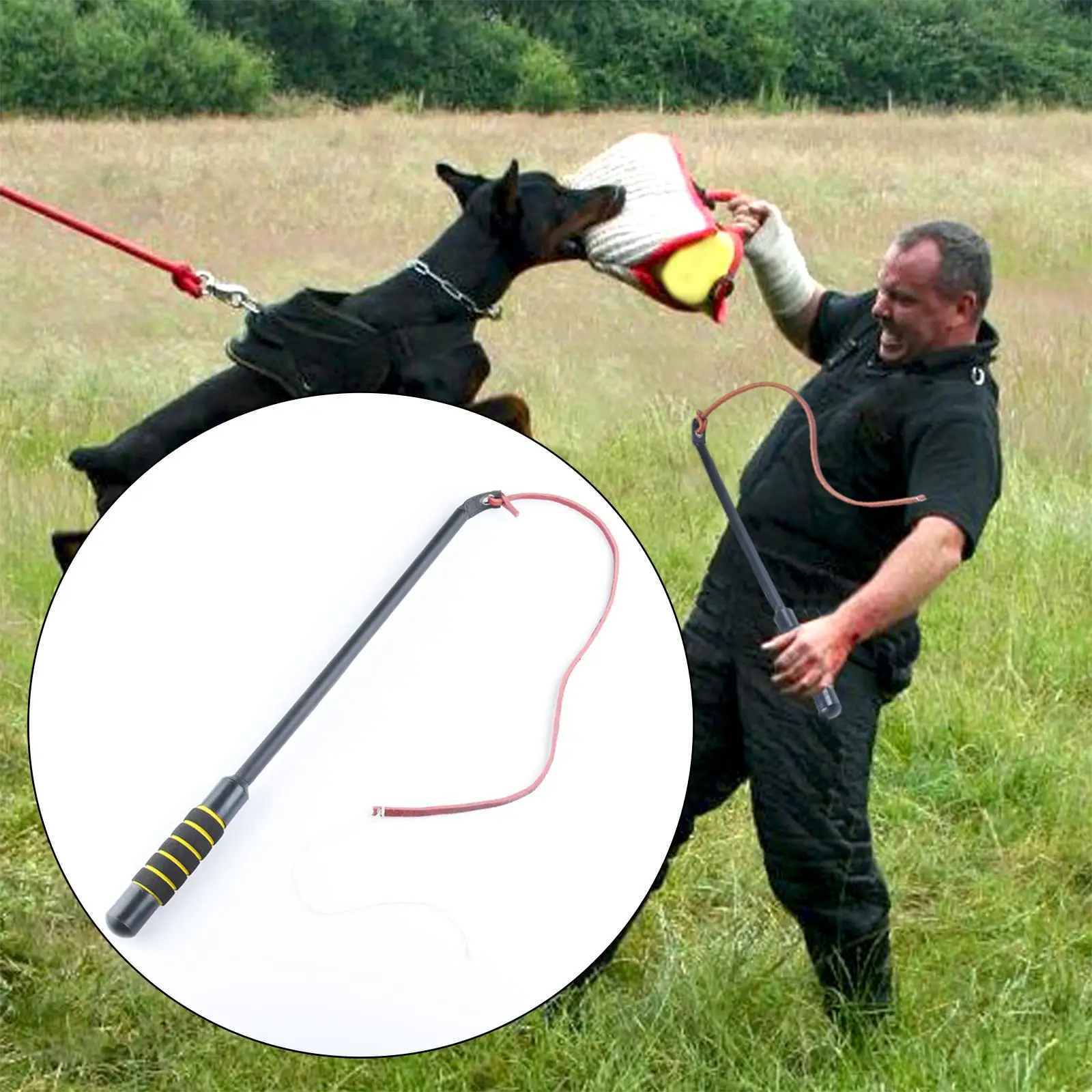 Leather Pet Training Agitation  Leash for Medium Large Dogs Horse French 