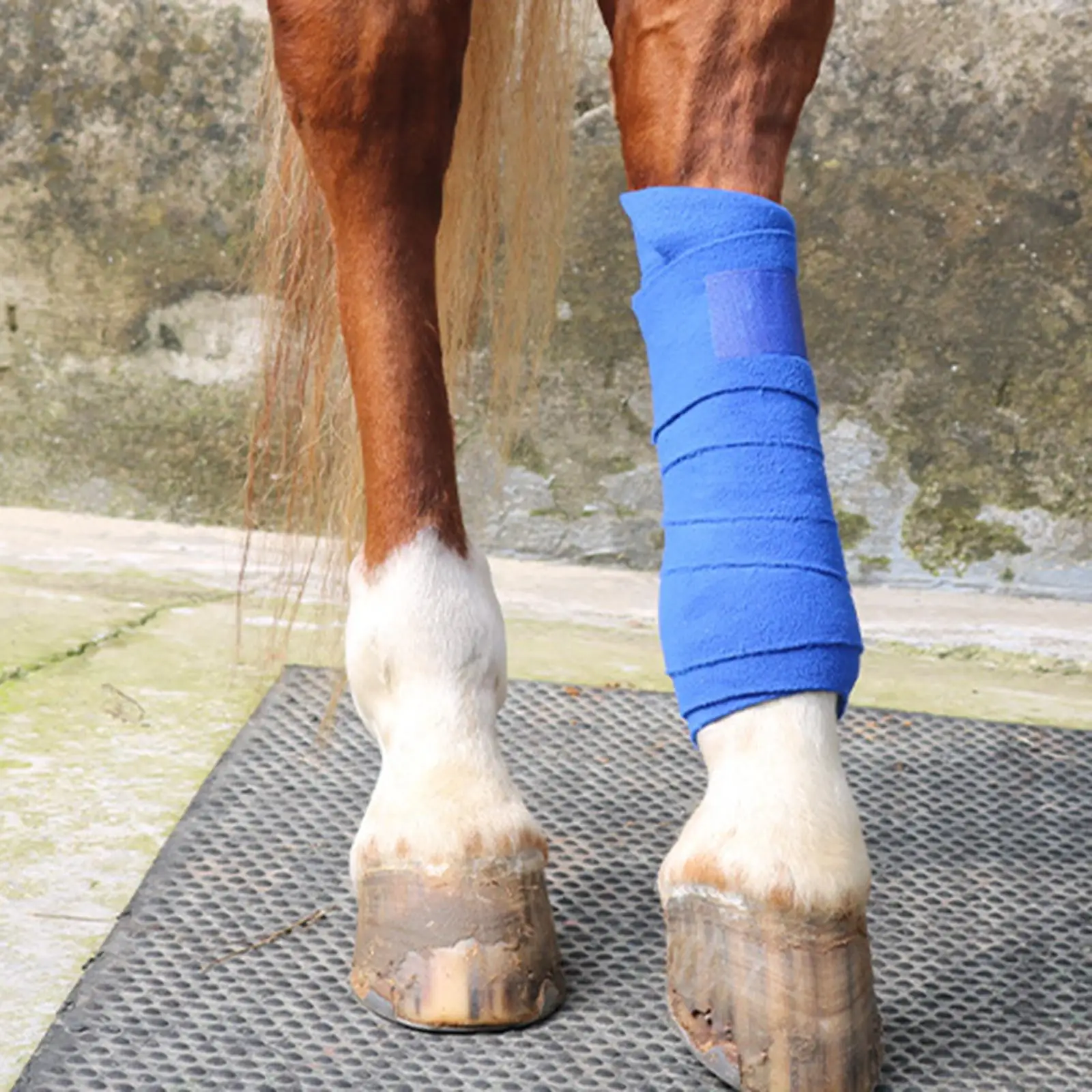 4Pcs Horse Leg Wraps Pony Legging Wrap Bandage Set Equestrian Accessories