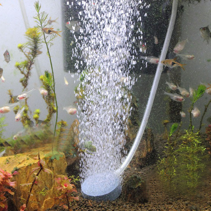 aerator for fish tank