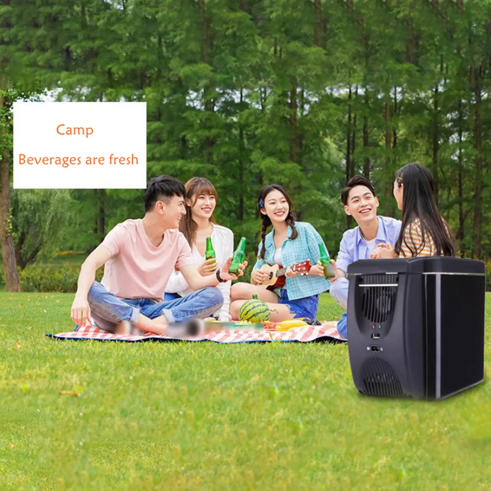 6 Liter Mini Fridge 12V Cooler And Warmer Dual Use for Picnic Outdoor Drinks