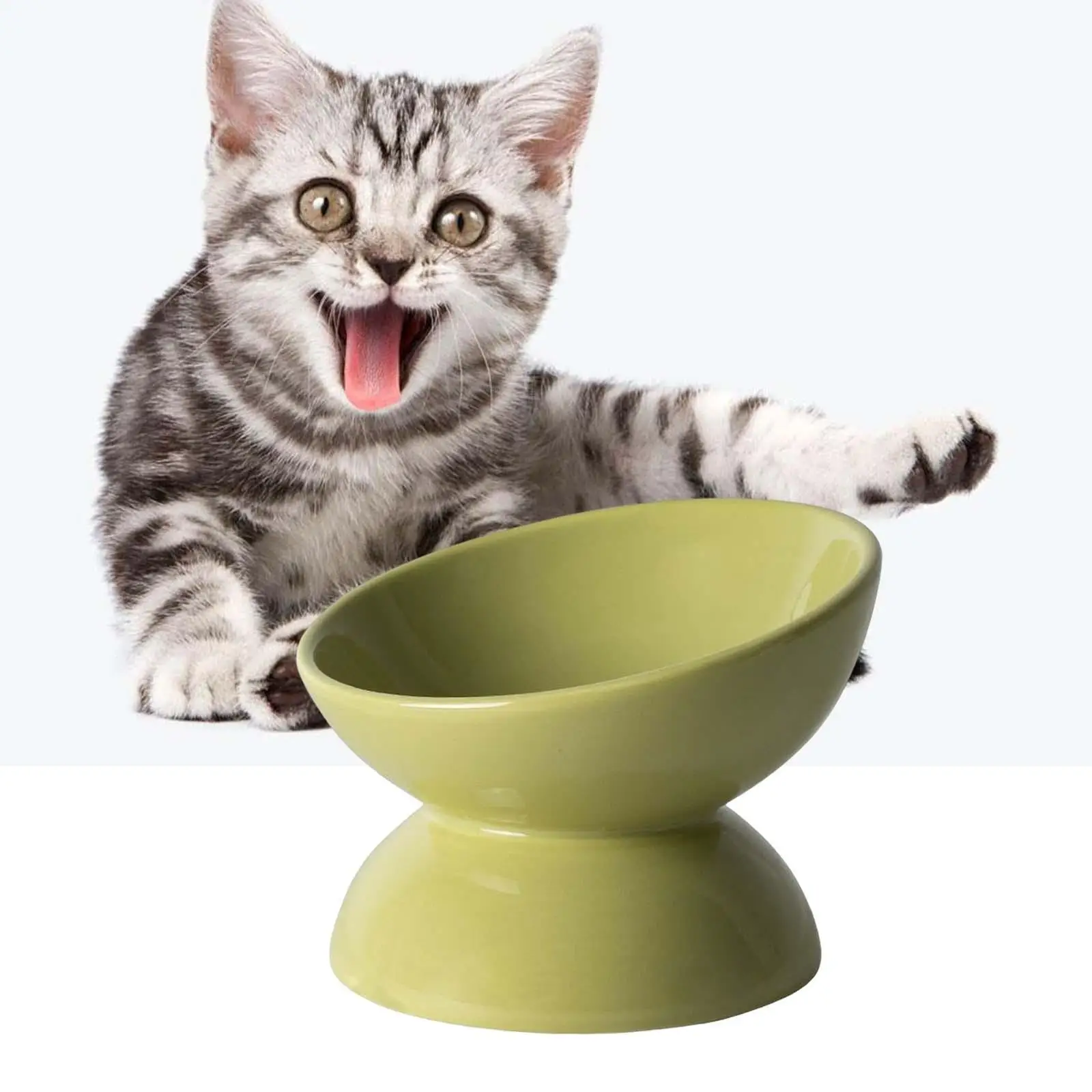 Elevated Cat Food Bowl, Water Bowl Feeding Raised Tilted Pets Feeder for Small Dogs