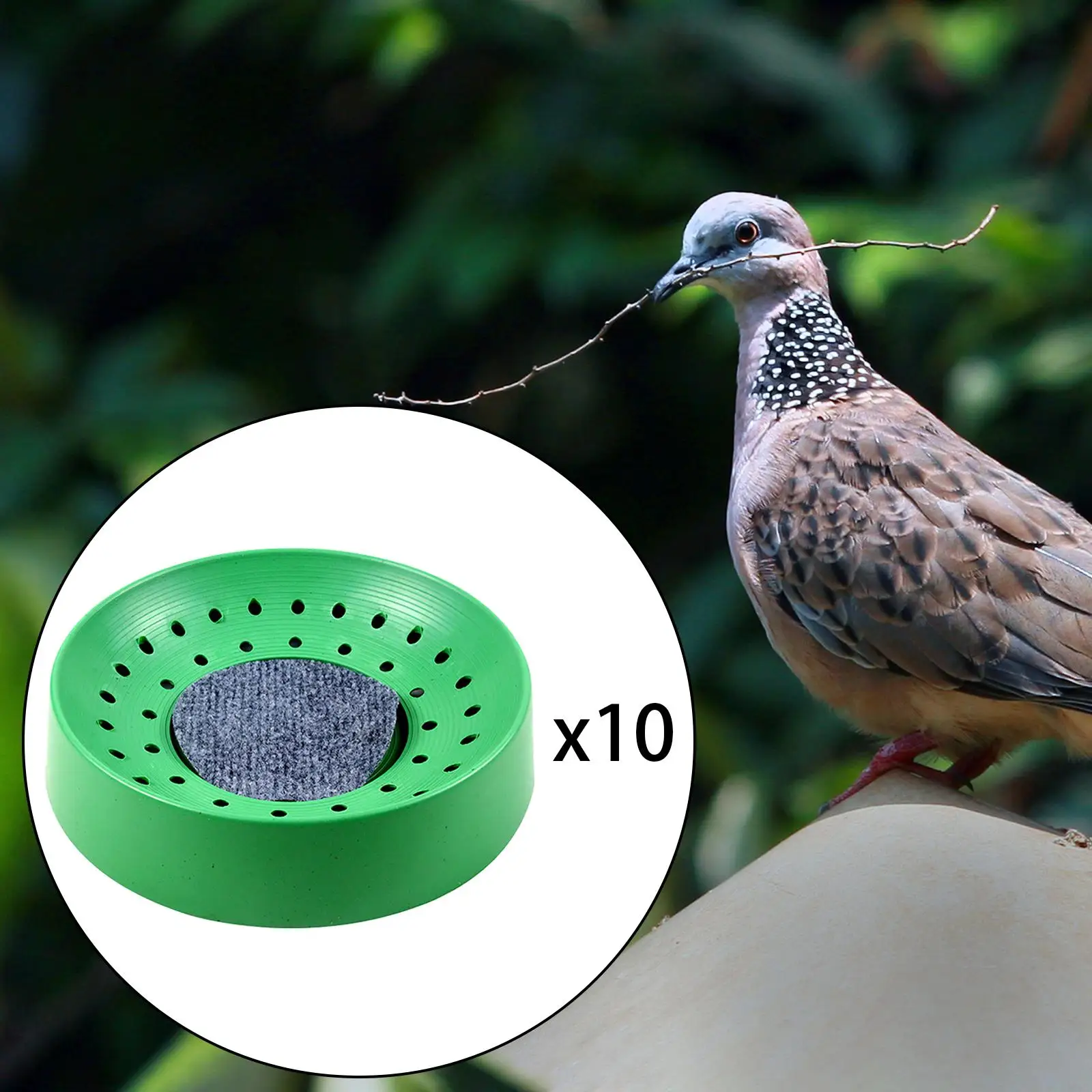 10x Plastic Pigeon Nest with Mat  Nesting Bowl Pigeon Den for Small Birds Quails