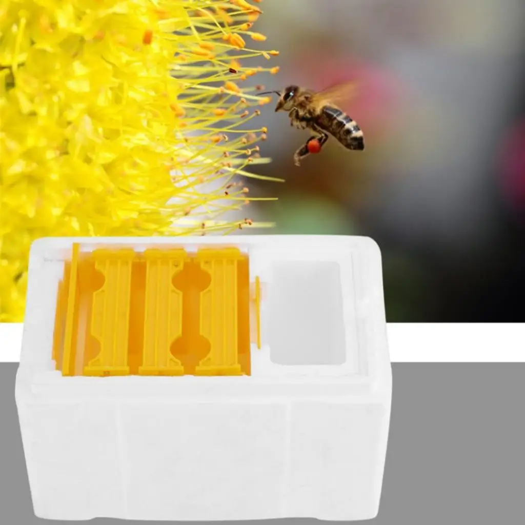 Premium Harvest Bee Hive Beehive Foam Comb Pollination Box Beekeeping Tool, Convenient