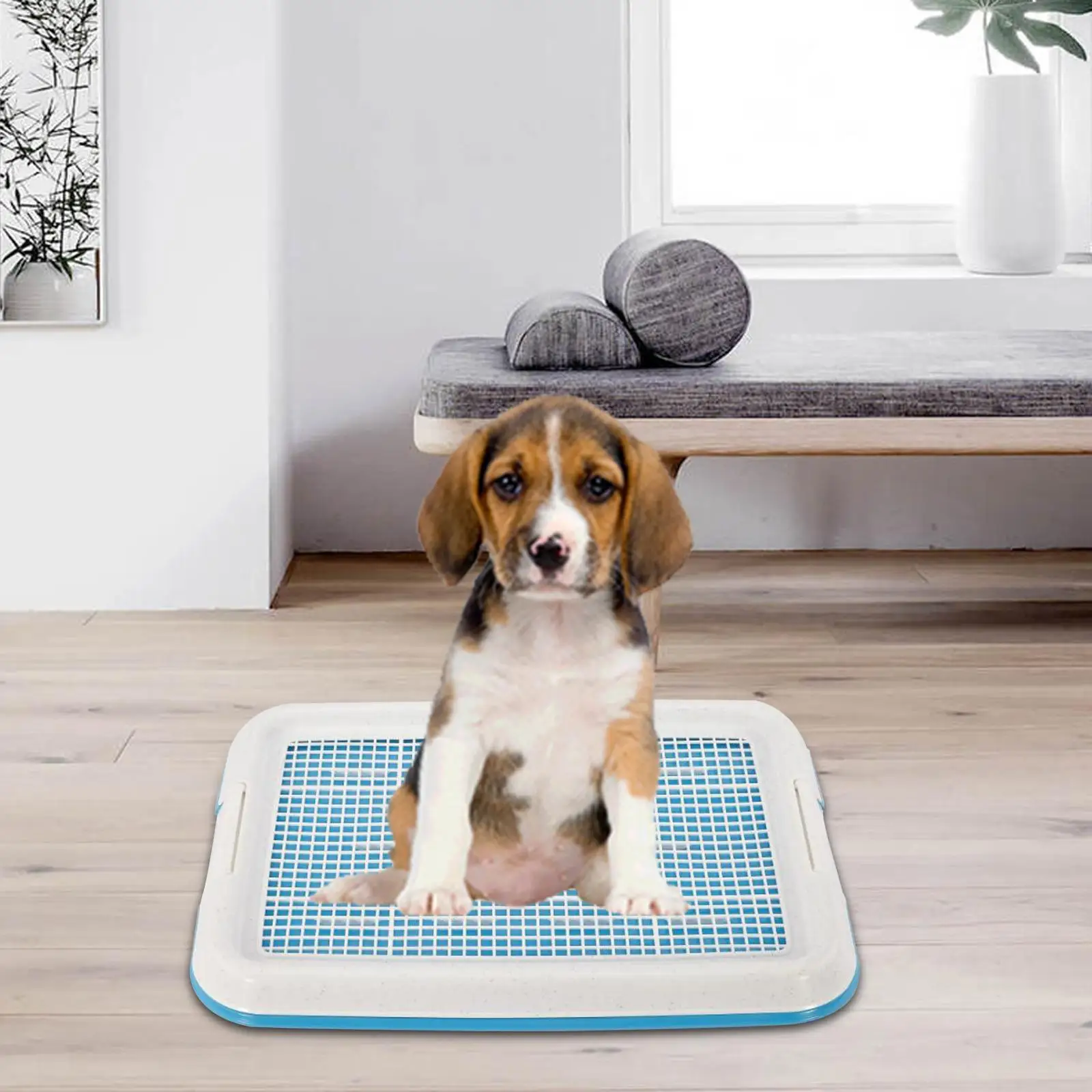 Dog Potty Toilet Training Tray Indoor Outdoor 18.5x13.8 inch with Secure Latch