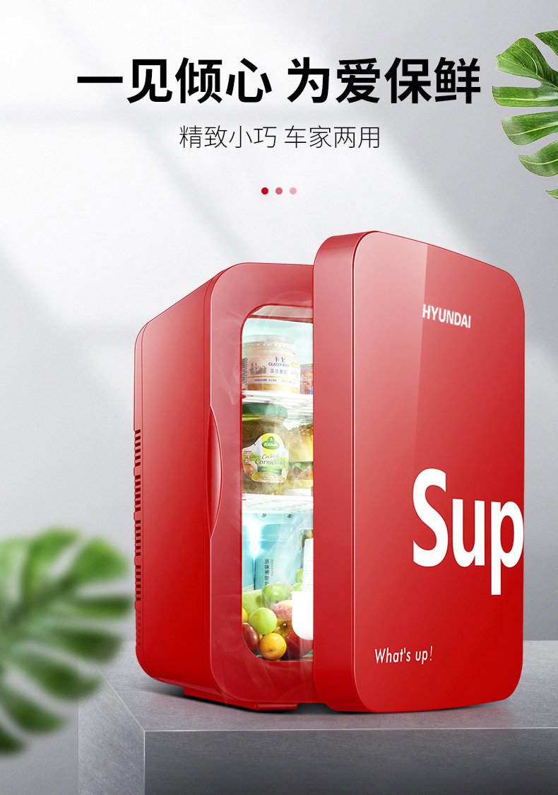 Title 1, Car Refrigerator Refrigeration Mini Dormitory H...