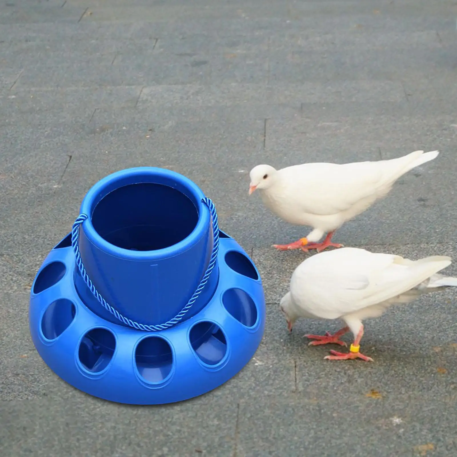 Chicken Feeder Automatic Bird Feeding Bucket Food Dispenser 11 Holes Backyard for Hen Pigeon Budgie Geese Parrot