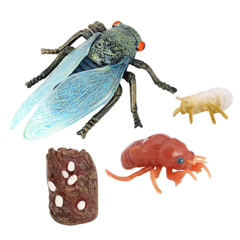 4 Piece Life Cycle Figures Insects Plastic Cicada Toy Figure Authentic Hand Painted Model Education Toy