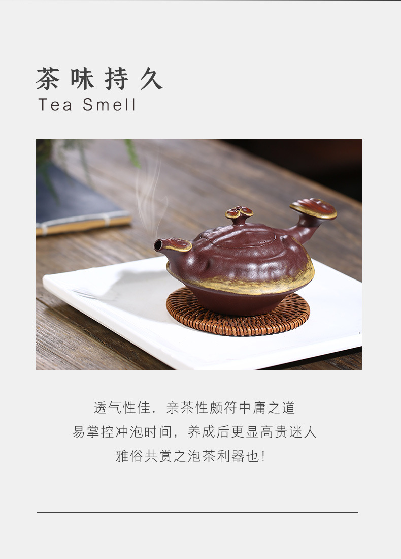 Ganoderma Ruyi_10.jpg