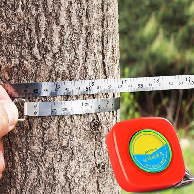 Small Tape Measure Retractable Ruler Tree Measuring Tape Mini Retractable  Ruler 2M Measurement Tape With Keychain Garden Tools - AliExpress