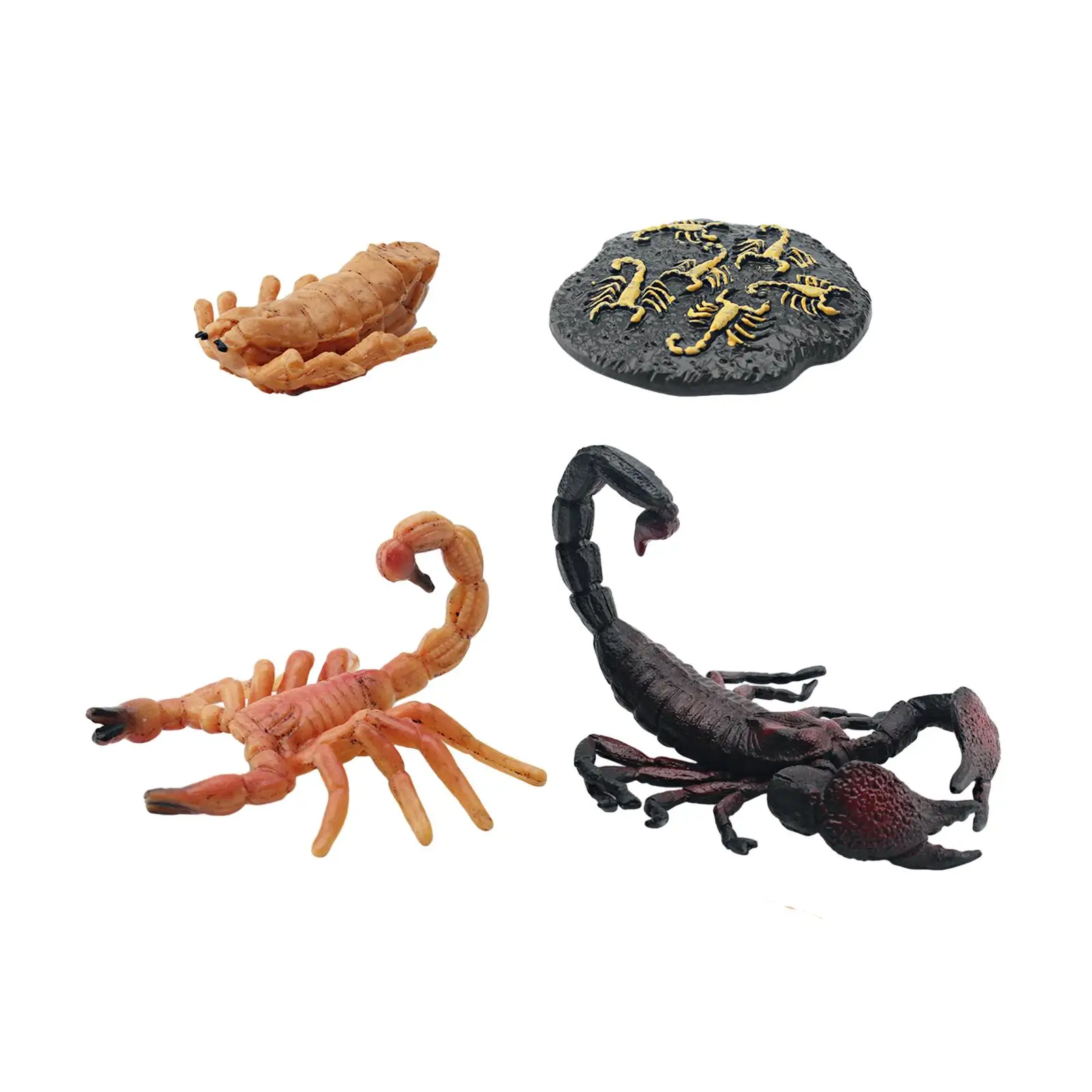 Игрушечный набор «Скорпион» с изображением животных, набор с изображением  жизненного цикла для последовательной передачи историй, обучающий словарный  запас, тематические проекты, обучающий инструмент | AliExpress