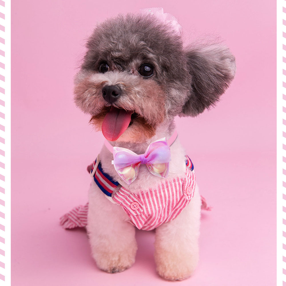 50PCS Lace Bow Ties for Small Dog Adjustable Dog Collar Cat Collar Cute Pompoms Bowties for Puppy Dog Grooming Accessories