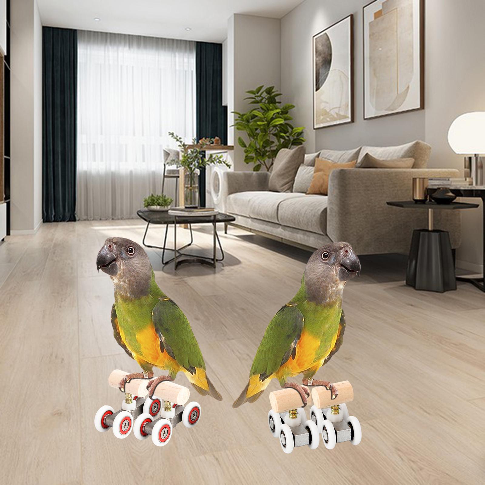 Mini Parrot Trick Roller Ice Skates Skateboard Intelligence Accessories for Lovebird Medium Large Birds Parakeet Macaw Conure