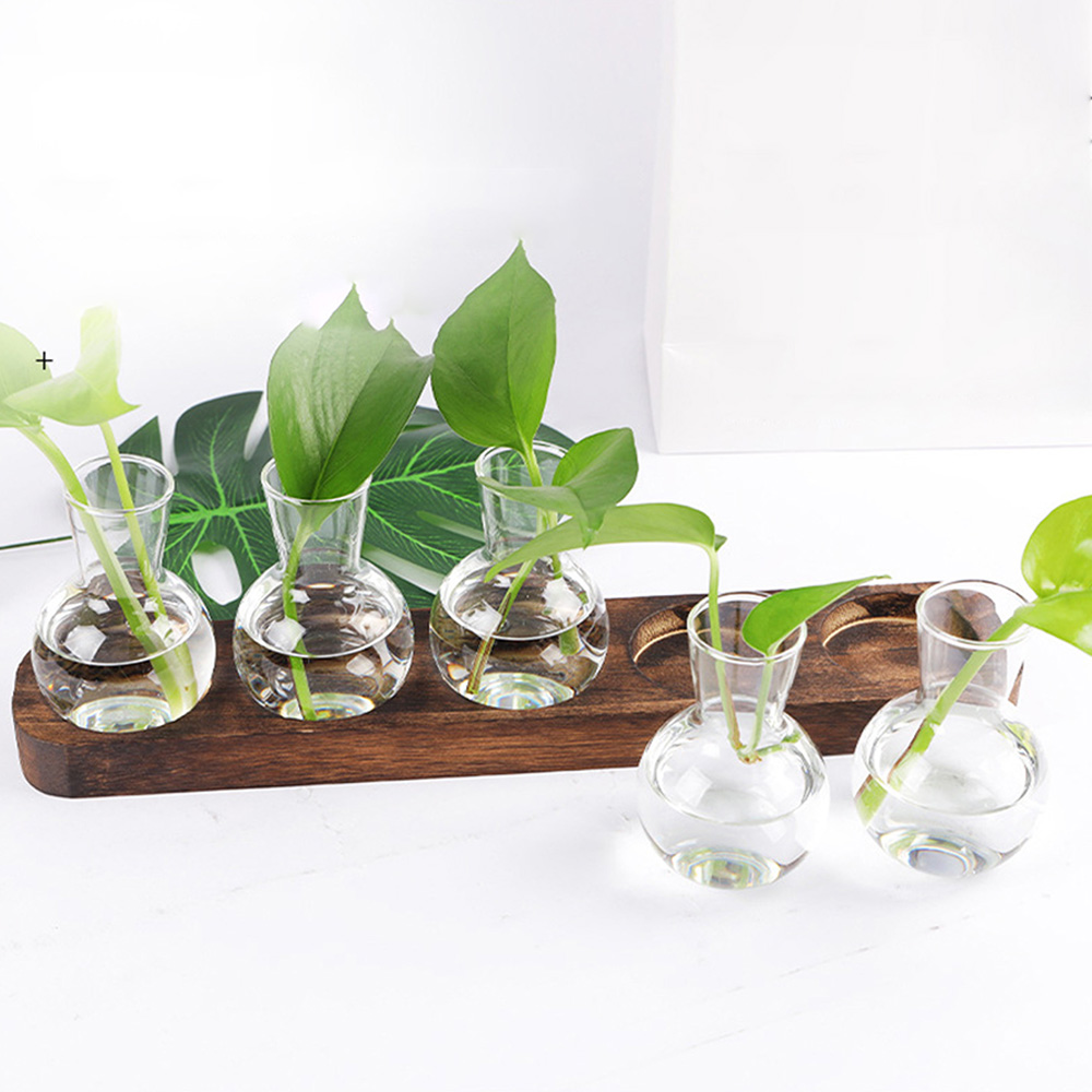 Description Picture 2 of itemHydroponic Plants Container Plant Glass Test Tube Terrariums Vase in Wooden Stand Flower Pots Hydroponic Plants Test Tube Vase