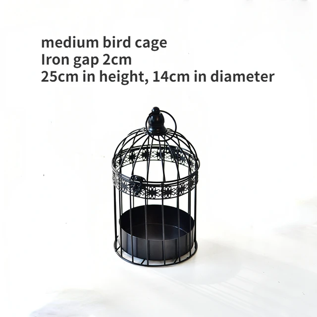 Cage à oiseaux en métal, piquet d'art d'extérieur rustique, filets