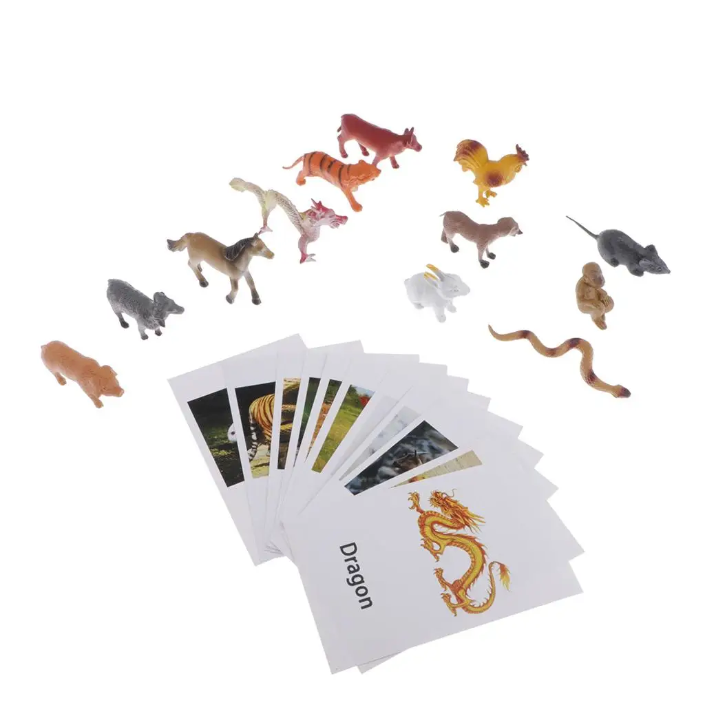 Educational Toy Insect Animal Model, Cards for Education Names