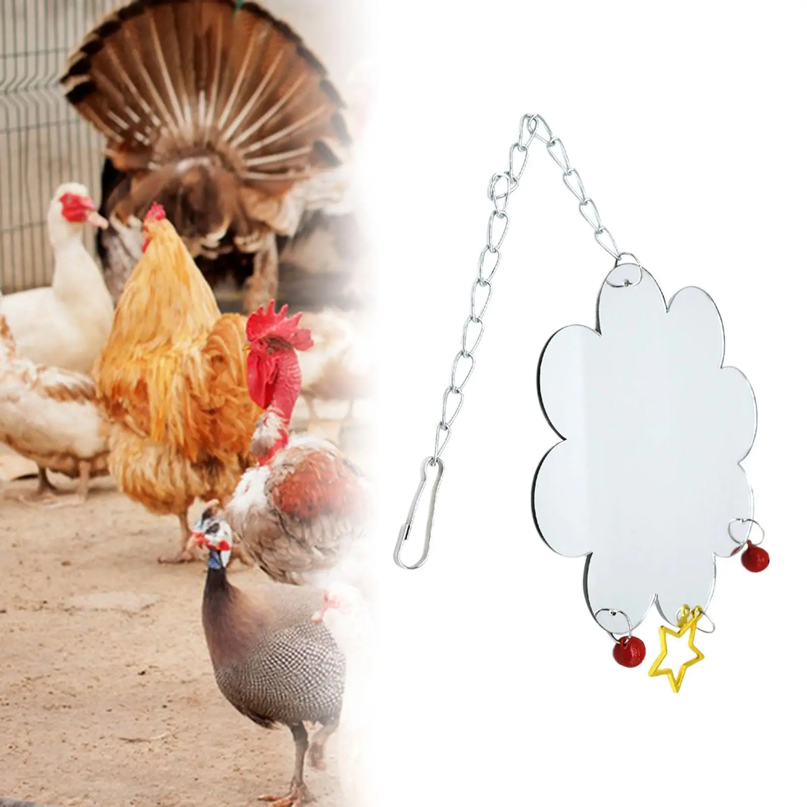 Chicken Mirror for Hens Coop, Chick Toys Chicken Mirror Toys with Bells, Parrot