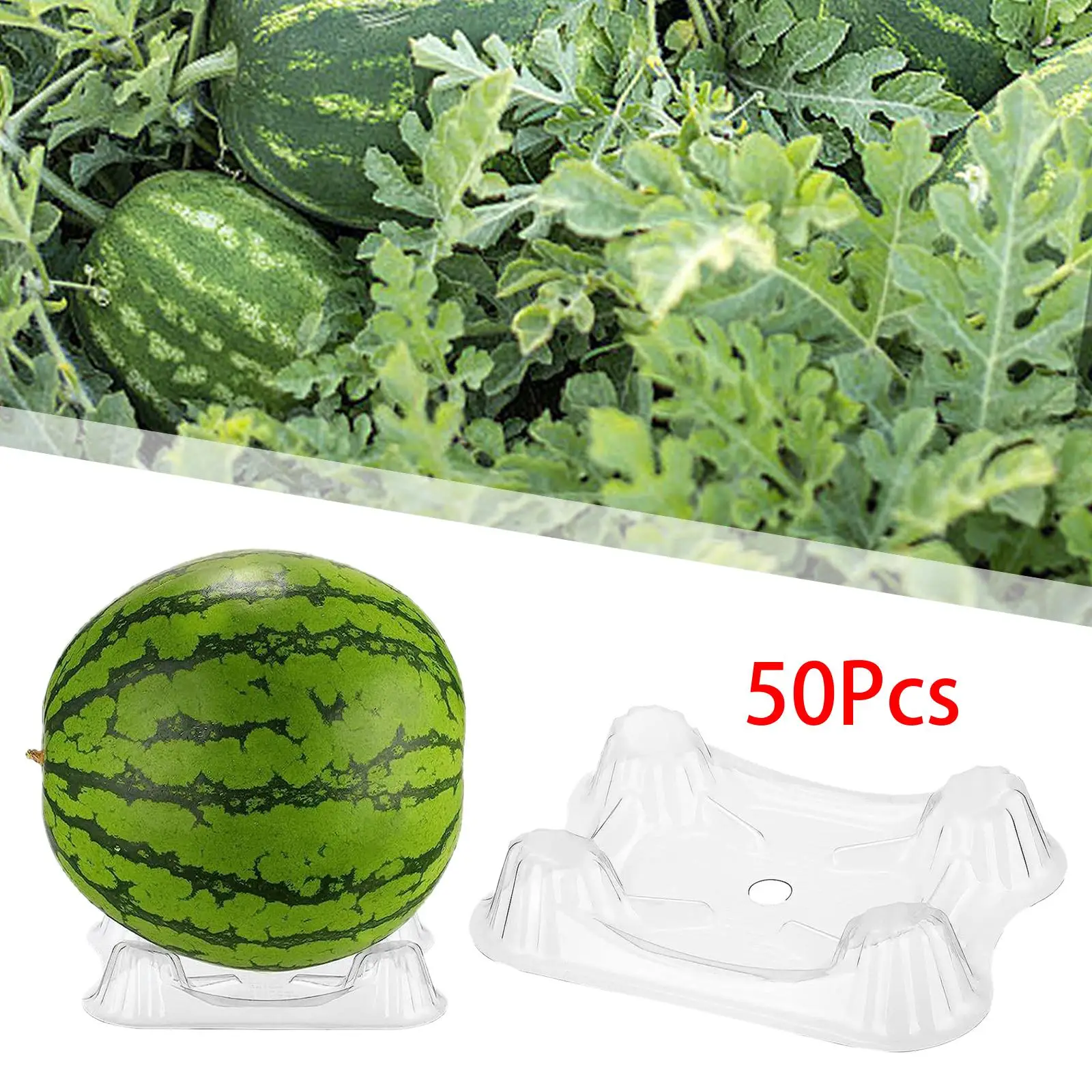 50x Melon Support Cradle Holds up to 20 kg Watermelon Holder Watermelon Support Stand for Watermelon Strawberry Cantaloupe Accs