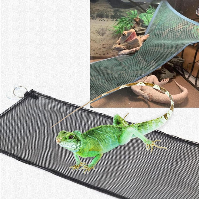 Title 8, Hammock for Reptiles Lounger Bridge for Iguanas...