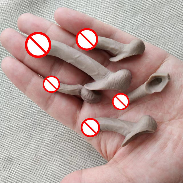 5PCS 1/6 SCALE Accessories Model Male Genitals Organ JJ Penis F 12