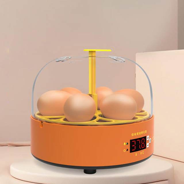 6 Digital Eggs Incubator Temperature Controller Hatching Machine Experimental for Parrot Bird Egg Duck Bird Pigeon Quail
