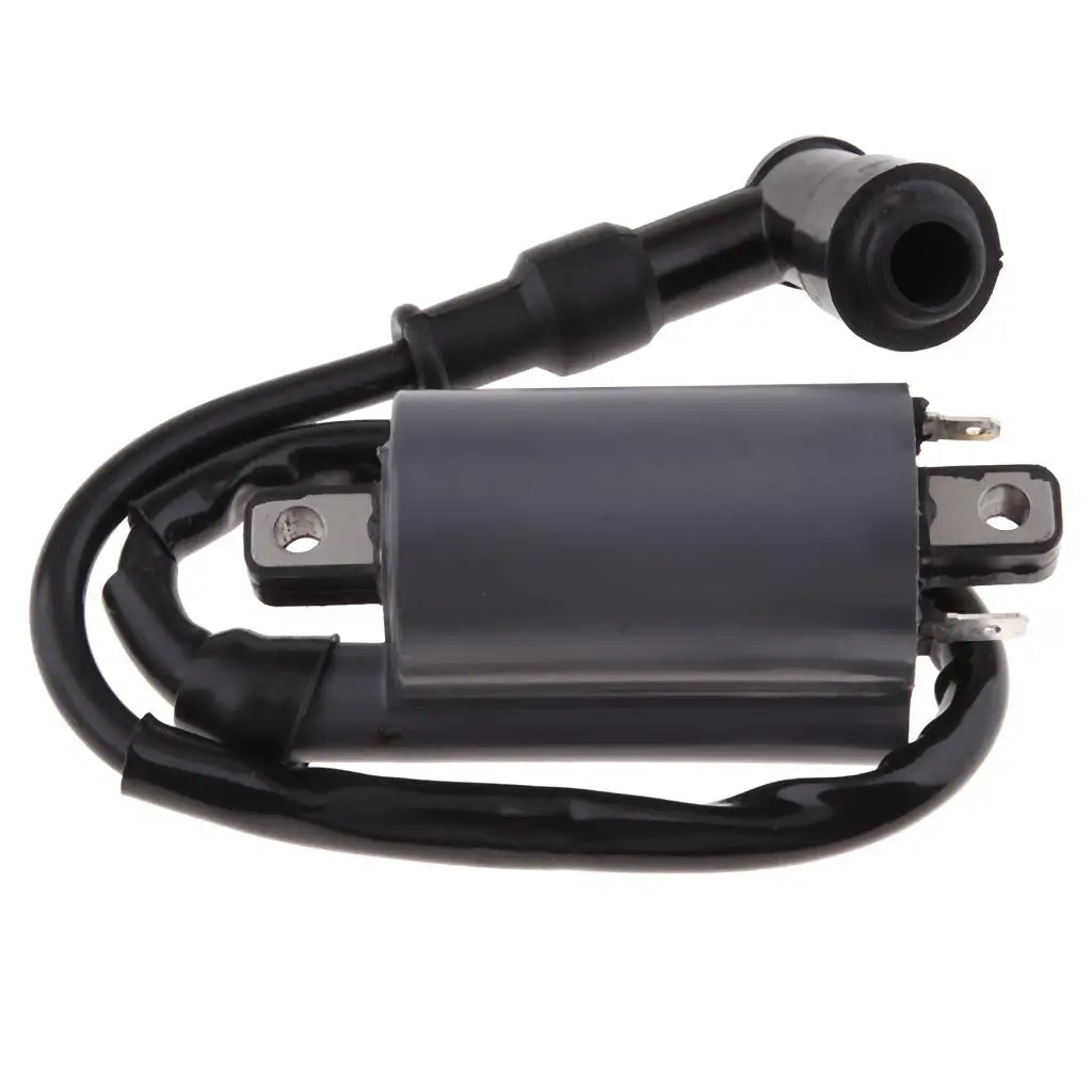 Replacement Ignition Coil For Buyang 300CC    Engine Dirt Bike Scooter Moped Mini Bikes