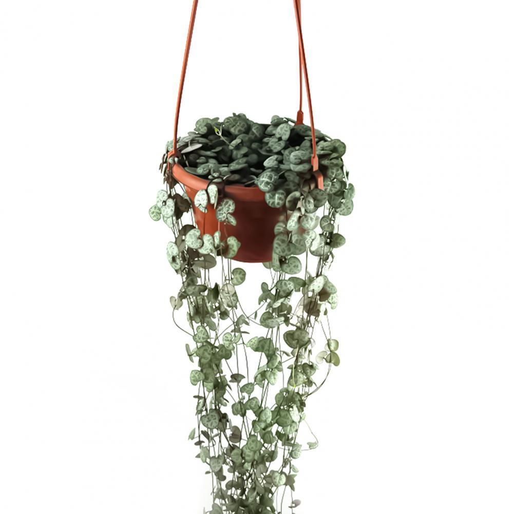 Description Picture 6 of itemFlower Basket Reusable Heighten Plastic Hanging Planter Basket Decor Pot Flower Pots Hanging Round Garden Basket for Outdoor