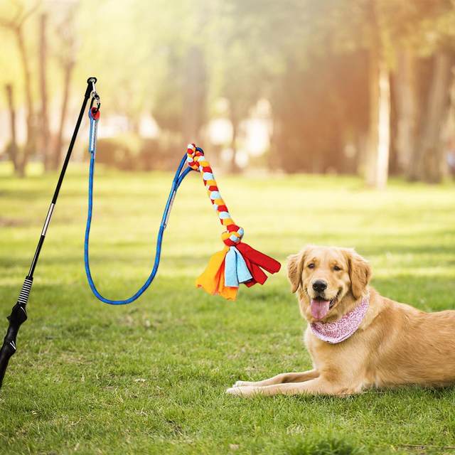 Flirt Pole for Dogs with Chewing Toy Large Breed Long Interactive Dog Toys Dog Teaser Pole for Indoor Outdoor Chasing Playing AliExpress 15