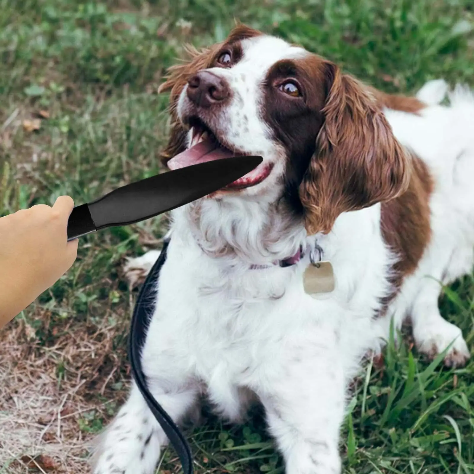 Durable Pet Crowbar Protective Chew Toys Break Stick Separates Food Aggressions Dog No Bite Sticks for Training Strong Dogs