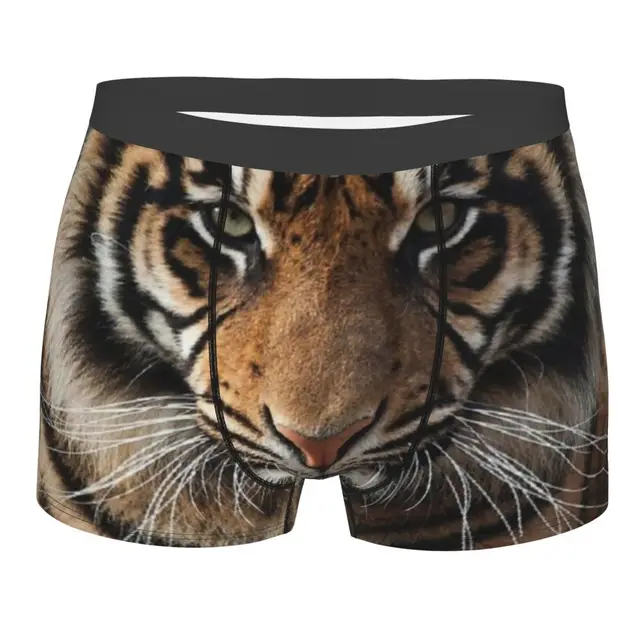 Sexy Boxer Cool Tiger Wallpaper Art Shorts Panties Briefs Men